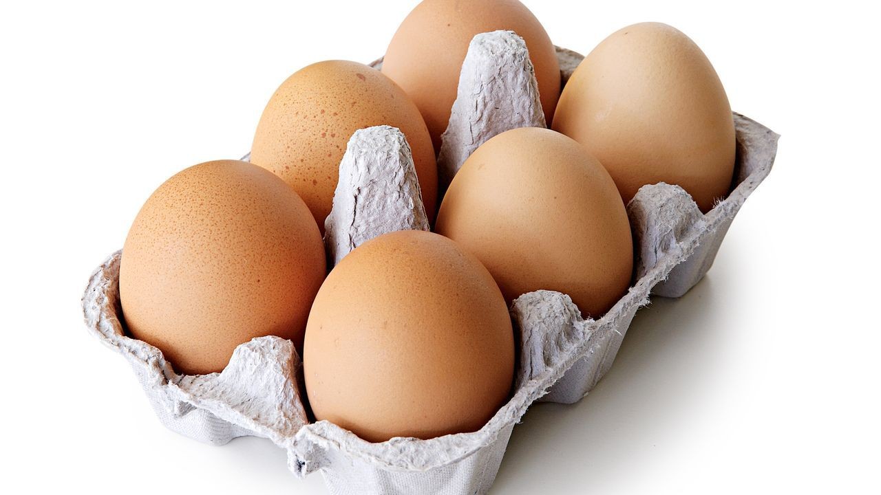 Chicken Eggs (Layer)